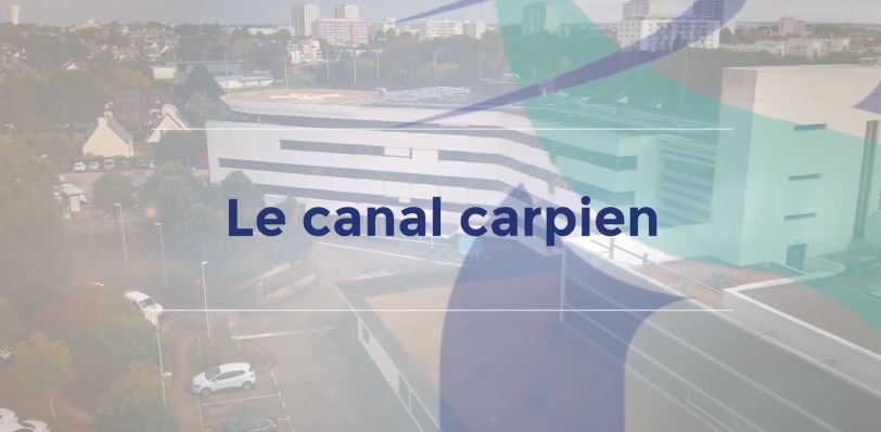 [RDV INFOS SANTÉ DU TER] - CANAL CARPIEN